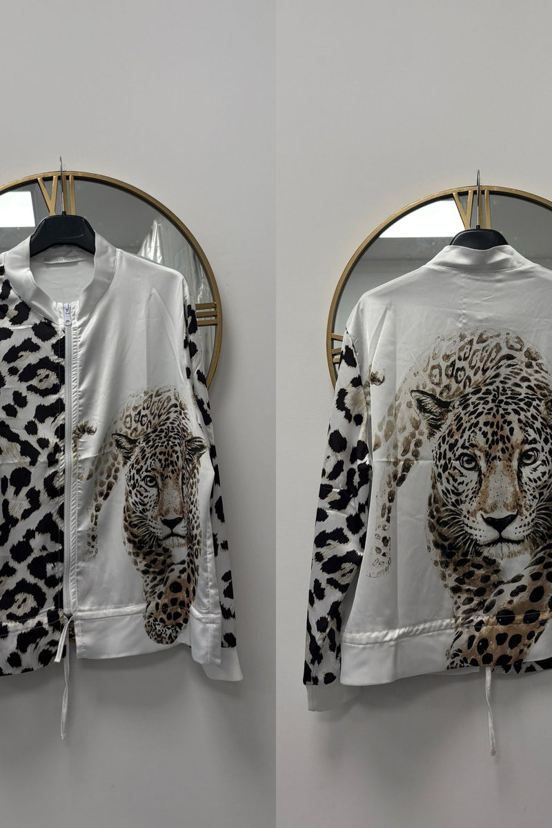 conjunto de modelado